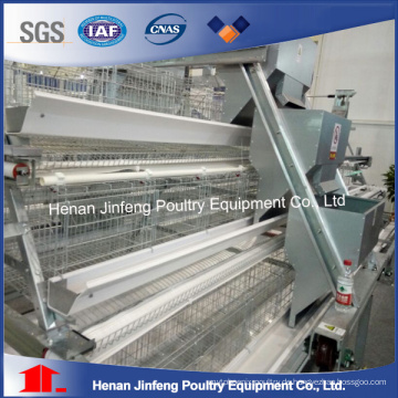 Automatische / Halbautomatische Geflügelfarm Ausrüstung für Huhn Vögel auf Verkauf (JFLS0621)